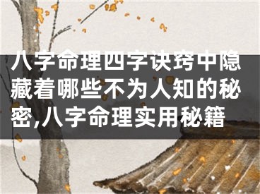 八字命理四字诀窍中隐藏着哪些不为人知的秘密,八字命理实用秘籍