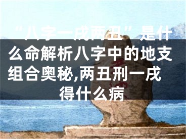 “八字一戌两丑”是什么命解析八字中的地支组合奥秘,两丑刑一戌得什么病