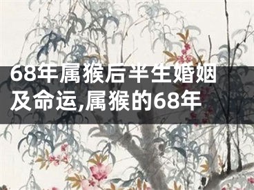68年属猴后半生婚姻及命运,属猴的68年