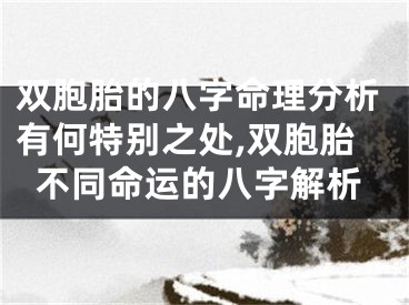 双胞胎的八字命理分析有何特别之处,双胞胎不同命运的八字解析