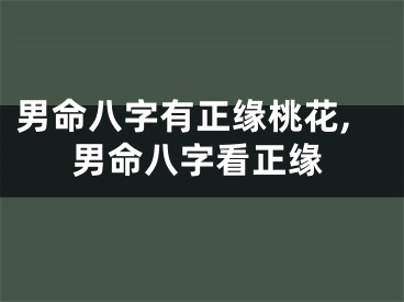 男命八字有正缘桃花,男命八字看正缘
