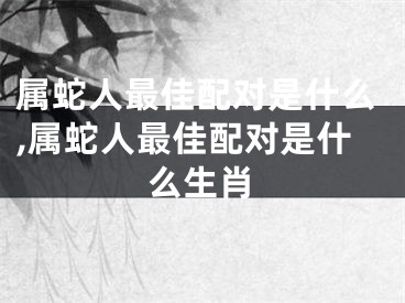 属蛇人最佳配对是什么,属蛇人最佳配对是什么生肖