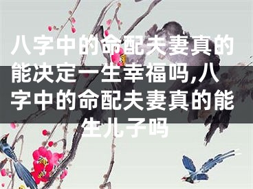 八字中的命配夫妻真的能决定一生幸福吗,八字中的命配夫妻真的能生儿子吗