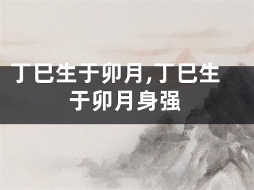 丁巳生于卯月,丁巳生于卯月身强