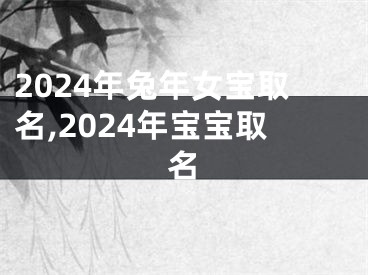 2024年兔年女宝取名,2024年宝宝取名