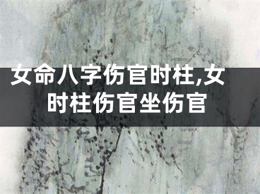女命八字伤官时柱,女时柱伤官坐伤官