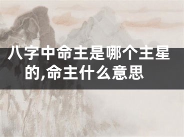 八字中命主是哪个主星的,命主什么意思