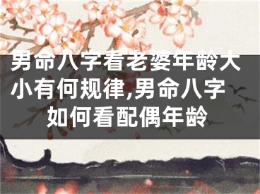 男命八字看老婆年龄大小有何规律,男命八字如何看配偶年龄
