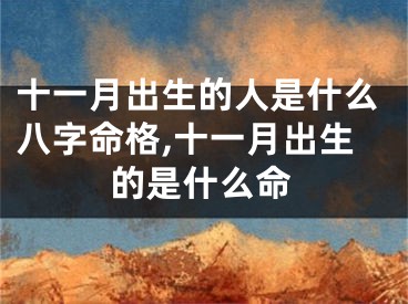 十一月出生的人是什么八字命格,十一月出生的是什么命