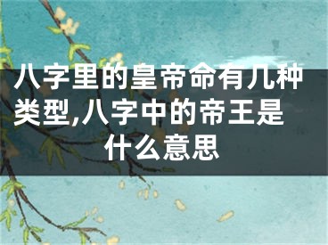 八字里的皇帝命有几种类型,八字中的帝王是什么意思