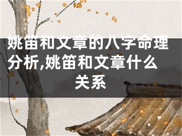 姚笛和文章的八字命理分析,姚笛和文章什么关系