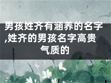 男孩姓齐有涵养的名字,姓齐的男孩名字高贵气质的