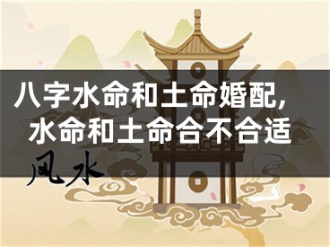 八字水命和土命婚配,水命和土命合不合适