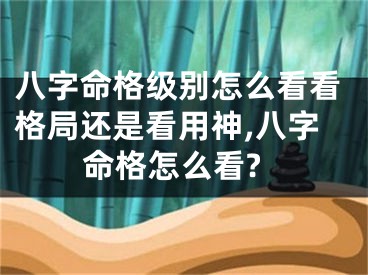 八字命格级别怎么看看格局还是看用神,八字命格怎么看?