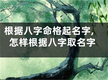 根据八字命格起名字,怎样根据八字取名字