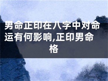 男命正印在八字中对命运有何影响,正印男命格