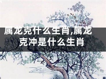 属龙克什么生肖,属龙克冲是什么生肖