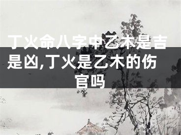 丁火命八字中乙木是吉是凶,丁火是乙木的伤官吗