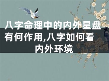 八字命理中的内外星盘有何作用,八字如何看内外环境