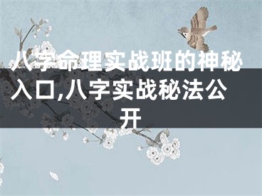 八字命理实战班的神秘入口,八字实战秘法公开