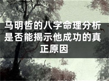 马明哲的八字命理分析是否能揭示他成功的真正原因