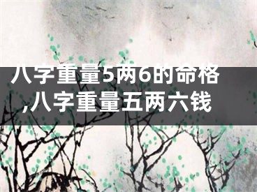 八字重量5两6的命格,八字重量五两六钱