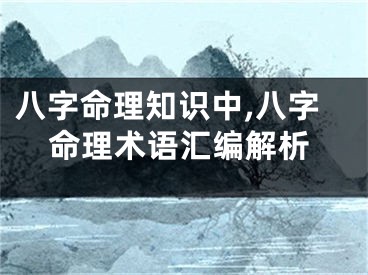 八字命理知识中,八字命理术语汇编解析