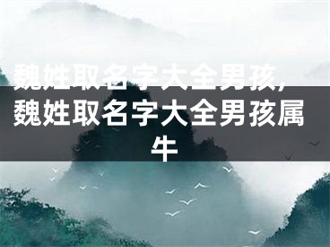 魏姓取名字大全男孩,魏姓取名字大全男孩属牛