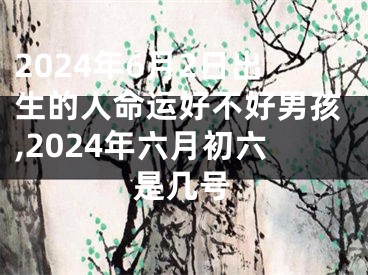 2024年6月2日出生的人命运好不好男孩,2024年六月初六是几号