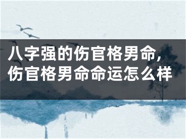 八字强的伤官格男命,伤官格男命命运怎么样