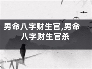 男命八字财生官,男命八字财生官杀