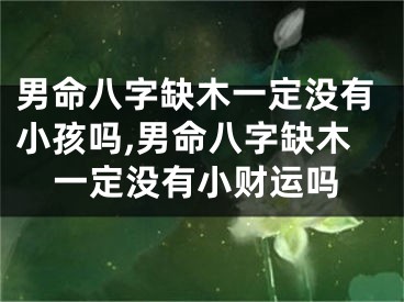男命八字缺木一定没有小孩吗,男命八字缺木一定没有小财运吗