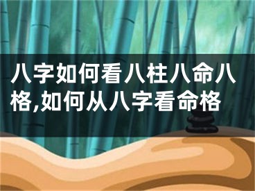 八字如何看八柱八命八格,如何从八字看命格