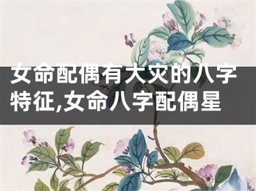 女命配偶有大灾的八字特征,女命八字配偶星
