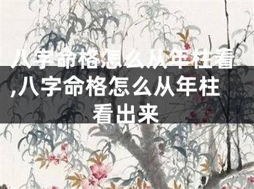八字命格怎么从年柱看,八字命格怎么从年柱看出来