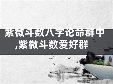 紫微斗数八字论命群中,紫微斗数爱好群