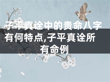子平真诠中的贵命八字有何特点,子平真诠所有命例