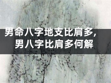男命八字地支比肩多,男八字比肩多何解