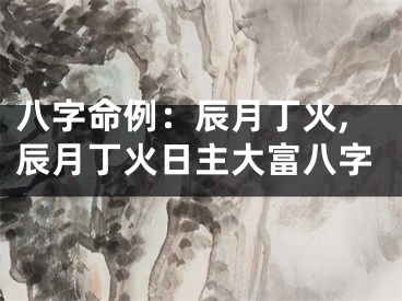 八字命例：辰月丁火,辰月丁火日主大富八字