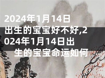 2024年1月14日出生的宝宝好不好,2024年1月14日出生的宝宝命运如何