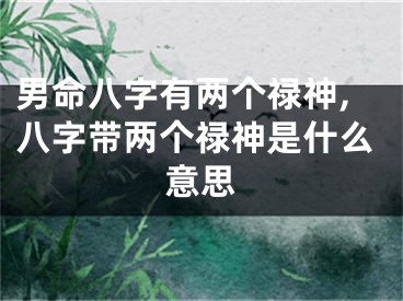 男命八字有两个禄神,八字带两个禄神是什么意思
