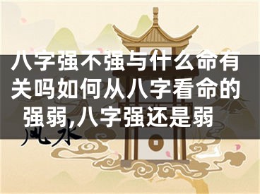 八字强不强与什么命有关吗如何从八字看命的强弱,八字强还是弱
