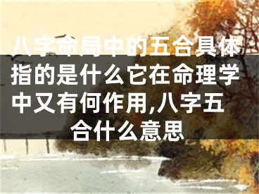 八字命局中的五合具体指的是什么它在命理学中又有何作用,八字五合什么意思