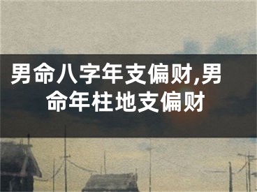 男命八字年支偏财,男命年柱地支偏财