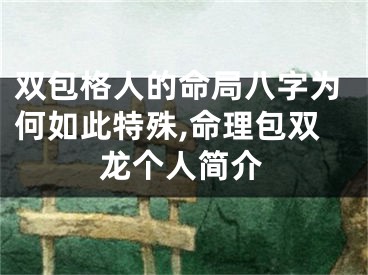双包格人的命局八字为何如此特殊,命理包双龙个人简介