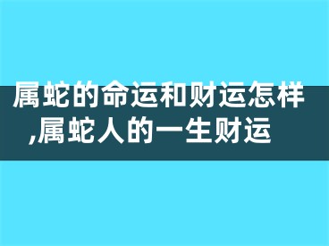 属蛇的命运和财运怎样,属蛇人的一生财运