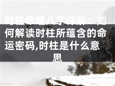 时柱命理八字详解：如何解读时柱所蕴含的命运密码,时柱是什么意思