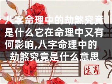 八字命理中的劫煞究竟是什么它在命理中又有何影响,八字命理中的劫煞究竟是什么意思