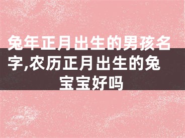 兔年正月出生的男孩名字,农历正月出生的兔宝宝好吗