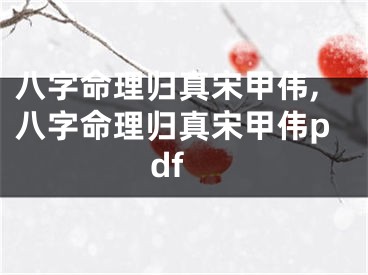 八字命理归真宋甲伟,八字命理归真宋甲伟pdf